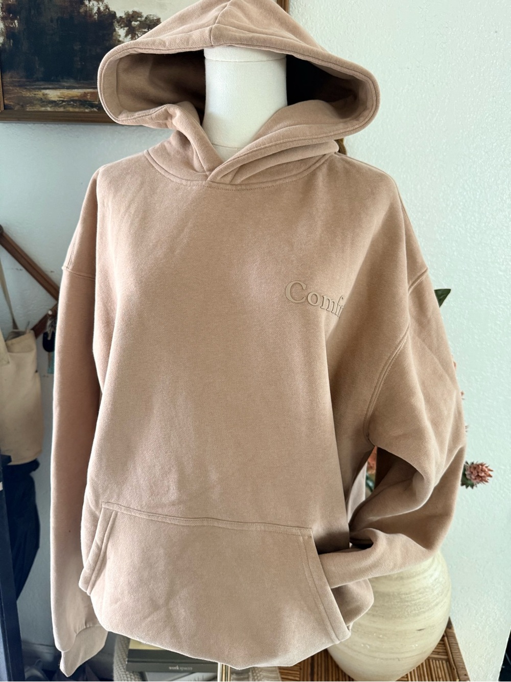 Comfort-Embrace Women's Hooded Sweater in Taupe